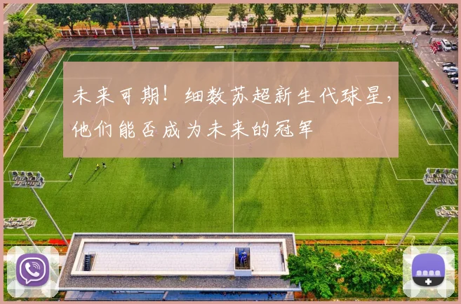 未来可期!细数苏超新生代球星,他们能否成为未来的冠军